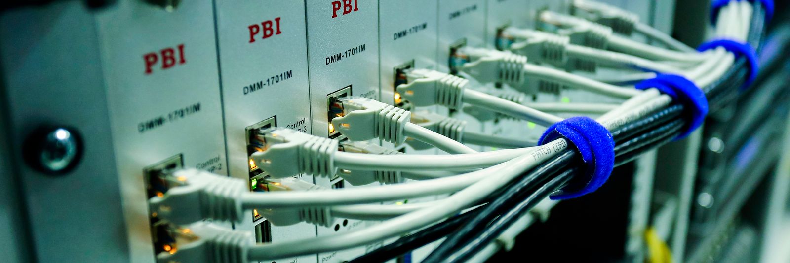 Patch cables landed on a network switch in a rack
